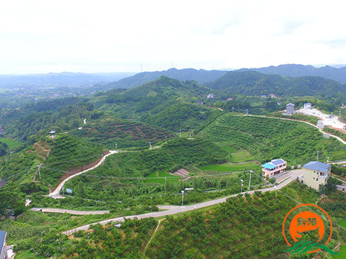 黔陽瞐黔陽黃桃產業(yè)園2 黔陽瞐黔陽黃桃產業(yè)園2